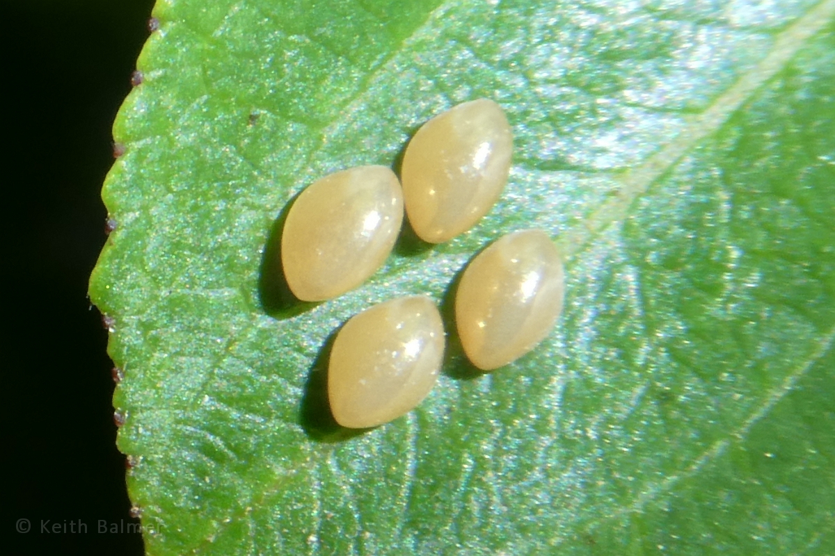 P1210149