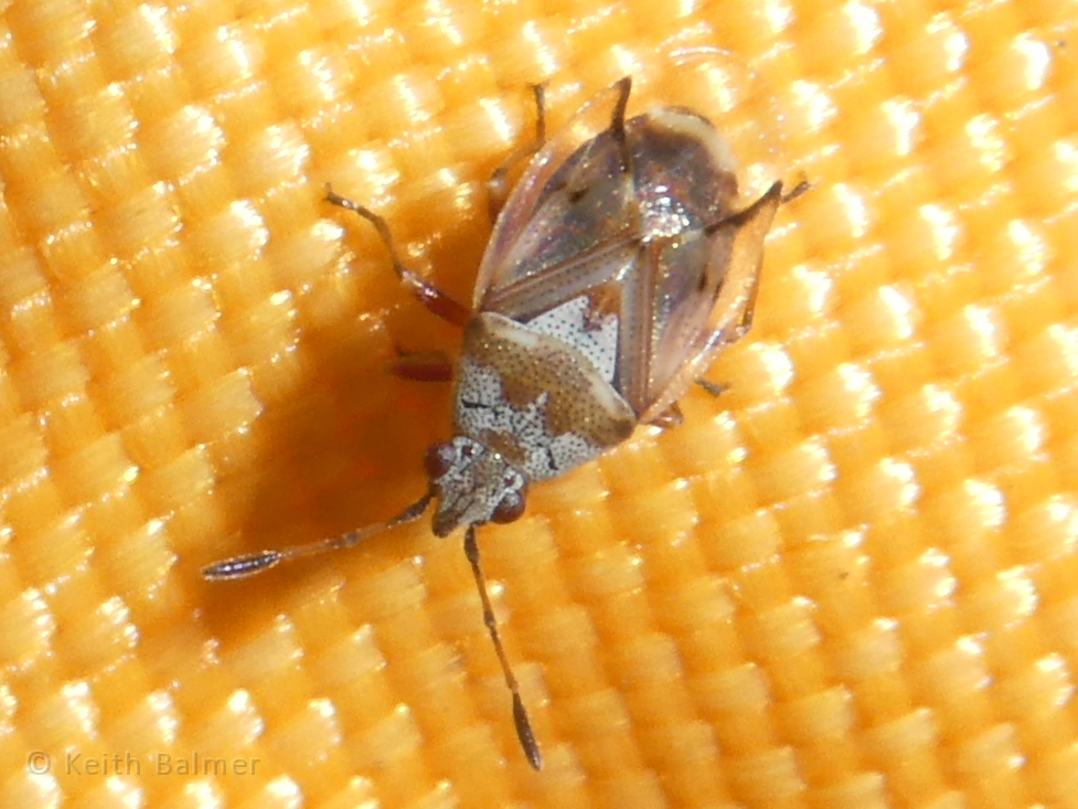P1290693