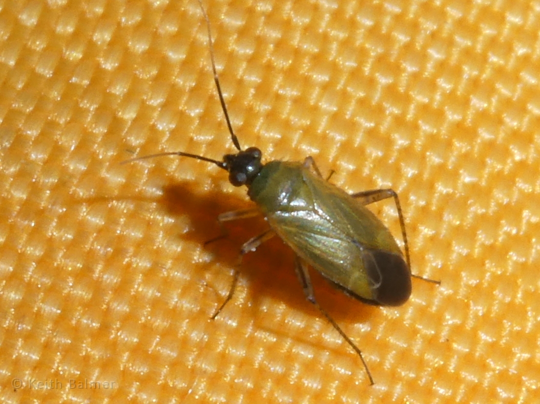 P1320780