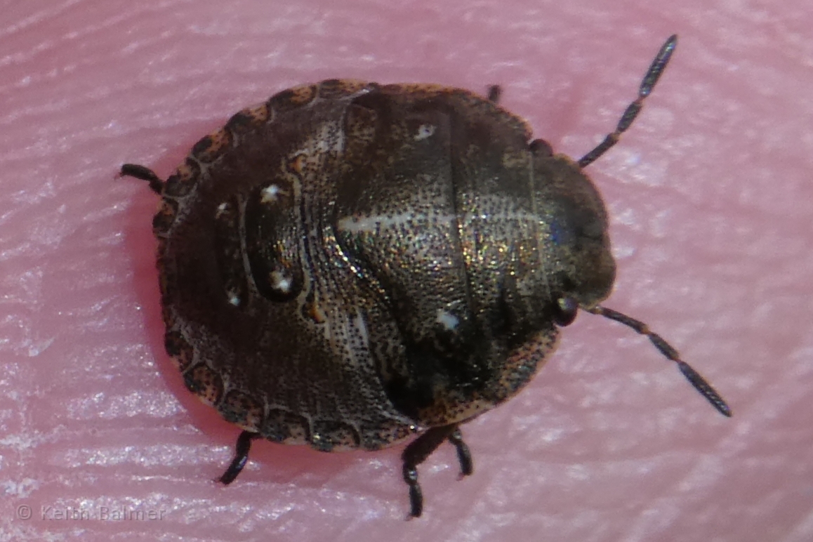 P1210840