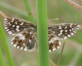 Underside.